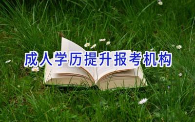 成人学历提升报考机构