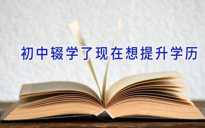 初中辍学了现在想提升学历