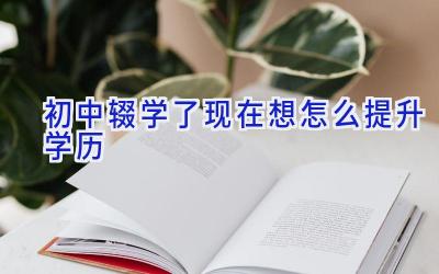 初中辍学了现在想怎么提升学历