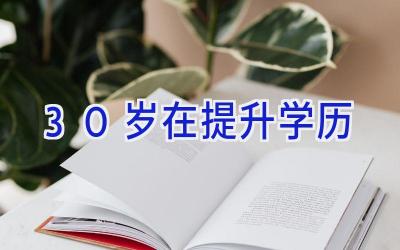 30岁在提升学历