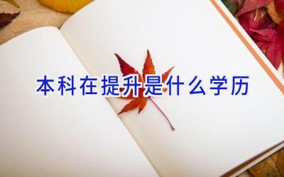 本科在提升是什么学历