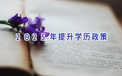 2025年提升学历政策