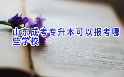 山东成考专升本可以报考哪些学校