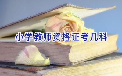 小学教师资格证考几科