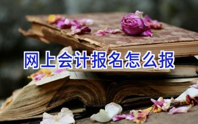 网上会计报名怎么报