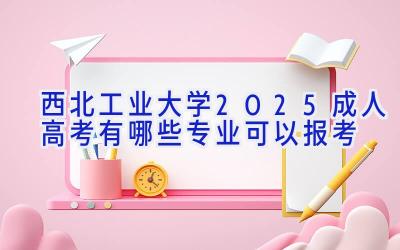 西北工业大学2025成人高考有哪些专业可以报考