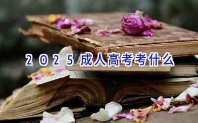 2025成人高考考什么