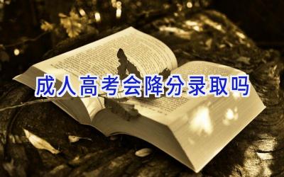 成人高考会降分录取吗