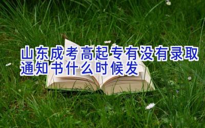 山东成考高起专有没有录取通知书 什么时候发