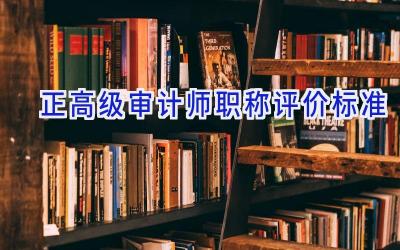 正高级审计师职称评价标准