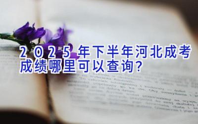 2025年下半年河北成考成绩哪里可以查询？