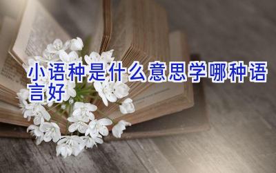 小语种是什么意思 学哪种语言好