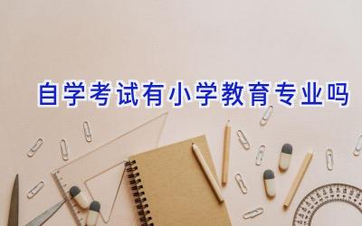 自学考试有小学教育专业吗