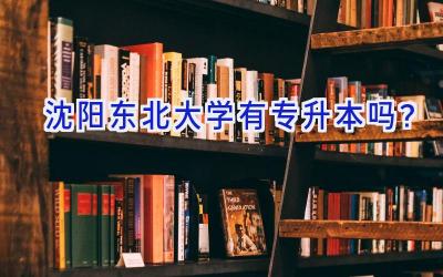 沈阳东北大学有专升本吗？