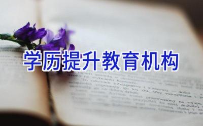 学历提升教育机构