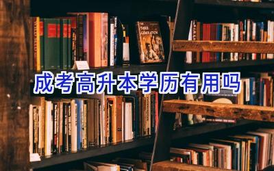 成考高升本学历有用吗