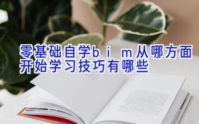 零基础自学bim从哪方面开始 学习技巧有哪些