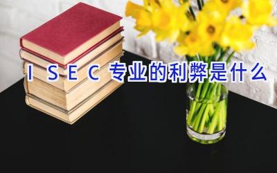 ISEC专业的利弊是什么