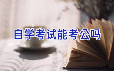 自学考试能考公吗