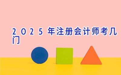 2025年注册会计师考几门