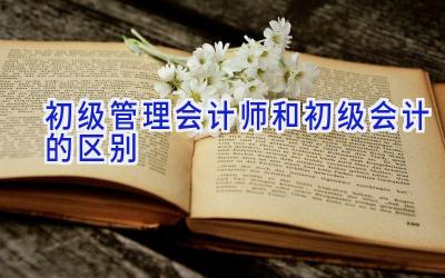 初级管理会计师和初级会计的区别