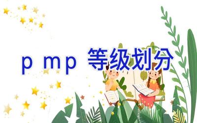 pmp等级划分