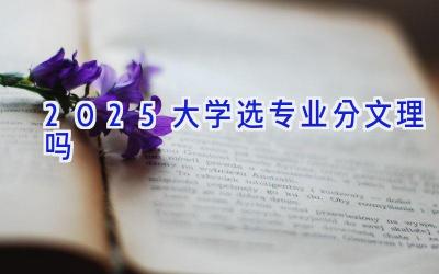 2025大学选专业分文理吗