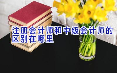 注册会计师和中级会计师的区别在哪里