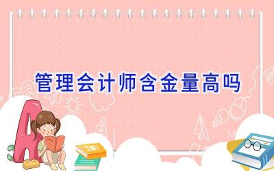 管理会计师含金量高吗