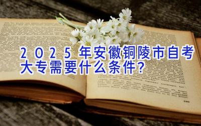 2025年安徽铜陵市自考大专需要什么条件？