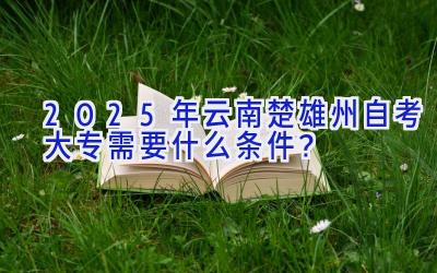 2025年云南楚雄州自考大专需要什么条件？