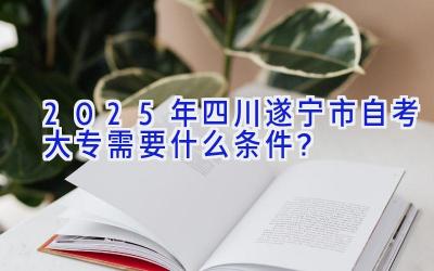 2025年四川遂宁市自考大专需要什么条件？