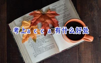 考上acca有什么好处