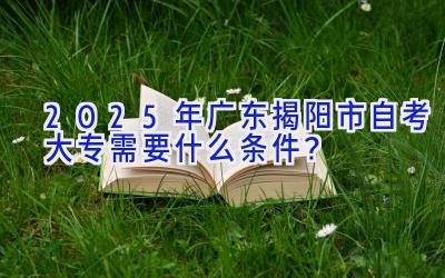 2025年广东揭阳市自考大专需要什么条件？