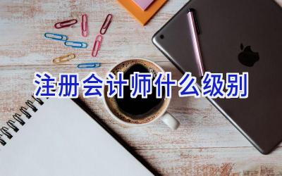 注册会计师什么级别