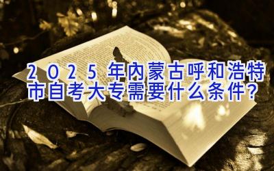 2025年内蒙古呼和浩特市自考大专需要什么条件？