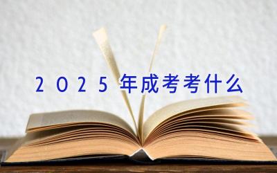 2025年成考考什么