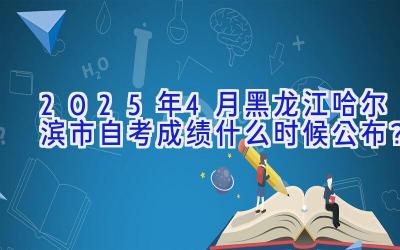 2025年4月黑龙江哈尔滨市自考成绩什么时候公布？