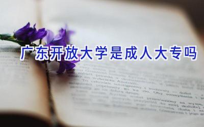 广东开放大学是成人大专吗