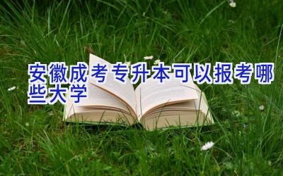 安徽成考专升本可以报考哪些大学