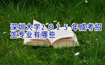 深圳大学2025年成考招生专业有哪些