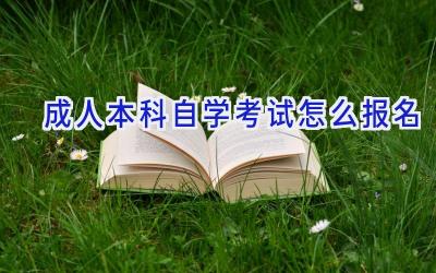 成人本科自学考试怎么报名