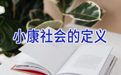 小康社会的定义