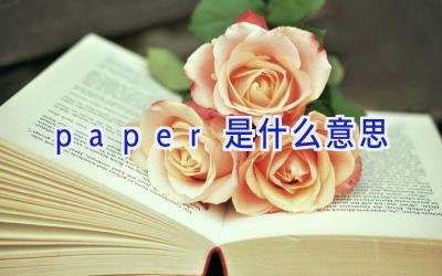 paper是什么意思