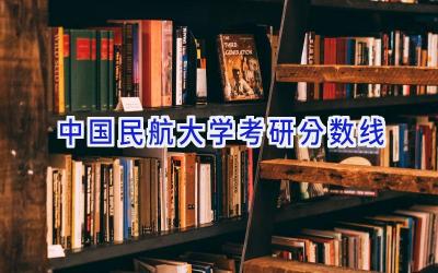 2024中国民航大学考研分数线