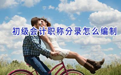 初级会计职称分录怎么编制